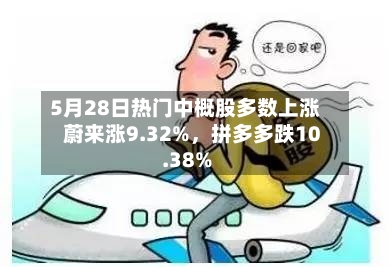 5月28日热门中概股多数上涨 蔚来涨9.32%，拼多多跌10.38%