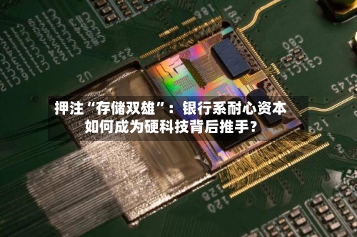 押注“存储双雄”：银行系耐心资本如何成为硬科技背后推手？