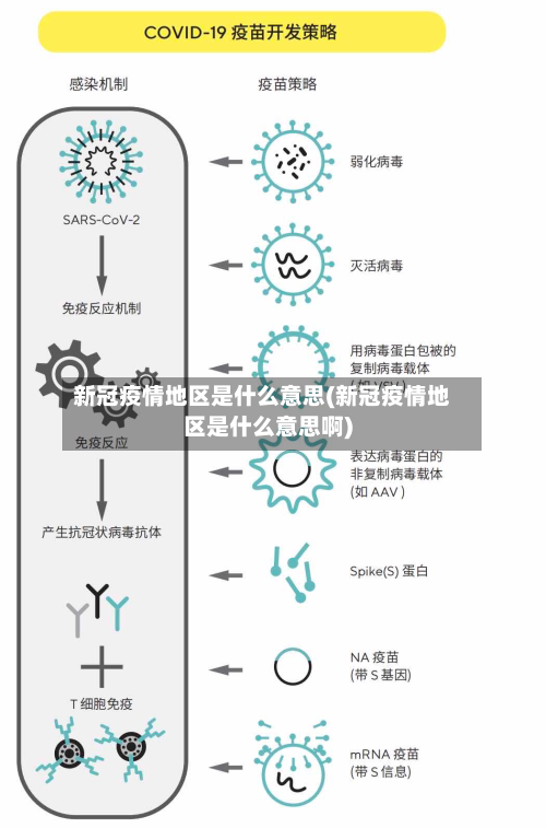 新冠疫情地区是什么意思(新冠疫情地区是什么意思啊)