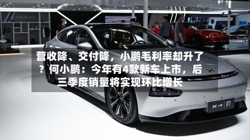 营收降	、交付降，小鹏毛利率却升了？何小鹏：今年有4款新车上市，后三季度销量将实现环比增长-第2张图片
