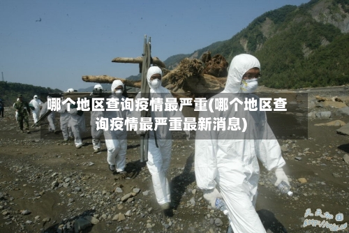 哪个地区查询疫情最严重(哪个地区查询疫情最严重最新消息)-第2张图片
