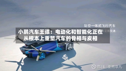 小鹏汽车王谭：电动化和智能化正在从根本上重塑汽车的骨相与皮相