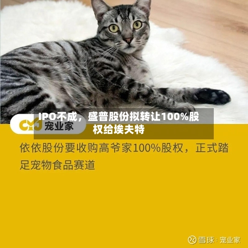 IPO不成	，盛普股份拟转让100%股权给埃夫特-第3张图片
