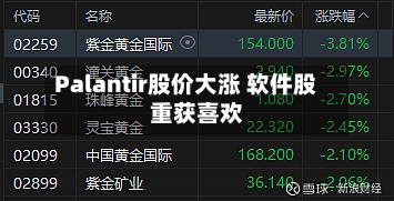 Palantir股价大涨 软件股重获喜欢-第2张图片