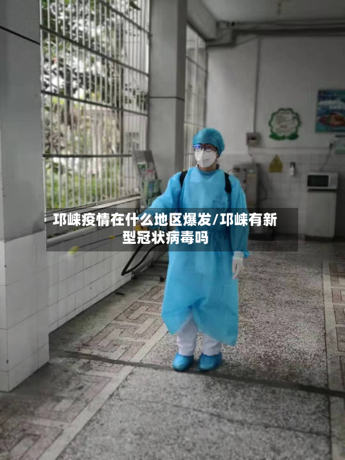 邛崃疫情在什么地区爆发/邛崃有新型冠状病毒吗-第2张图片