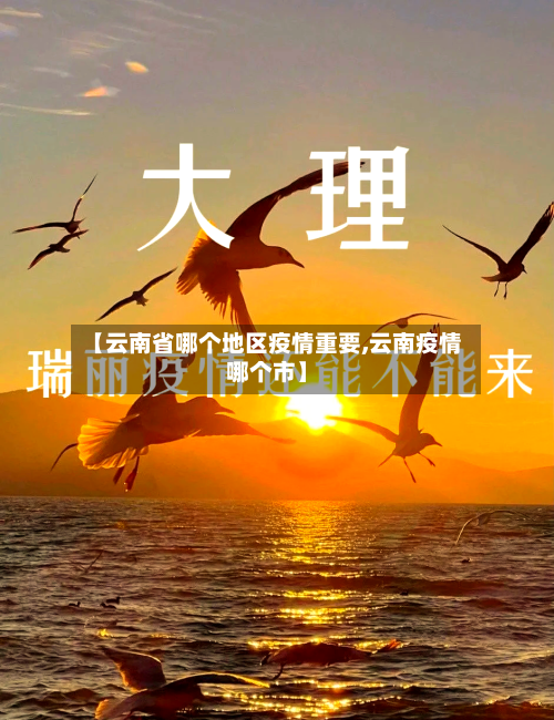 【云南省哪个地区疫情重要,云南疫情哪个市】