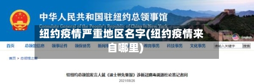 纽约疫情严重地区名字(纽约疫情来自哪里)-第2张图片