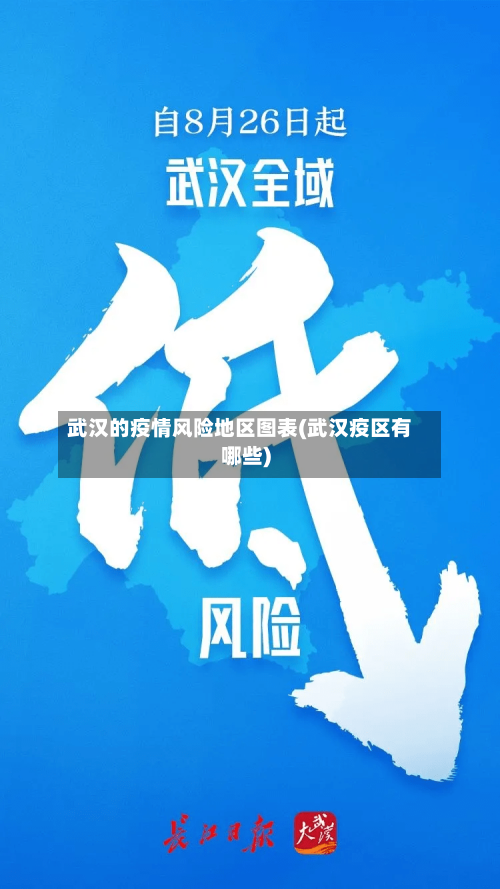 武汉的疫情风险地区图表(武汉疫区有哪些)