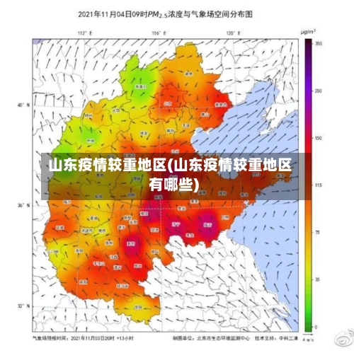 山东疫情较重地区(山东疫情较重地区有哪些)-第3张图片
