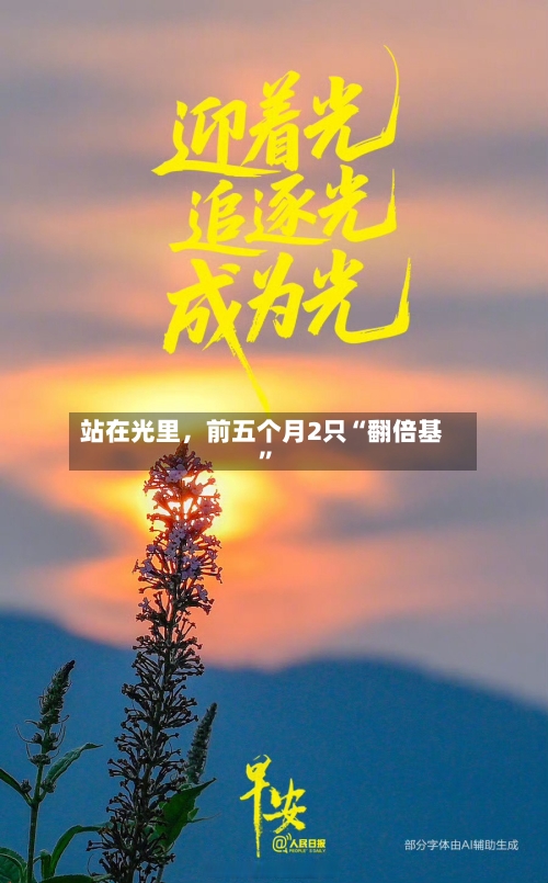 站在光里，前五个月2只“翻倍基”