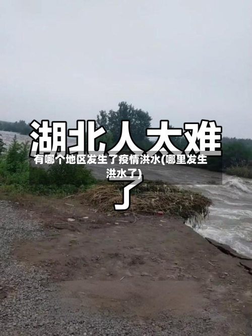 有哪个地区发生了疫情洪水(哪里发生洪水了)-第2张图片