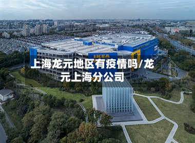 上海龙元地区有疫情吗/龙元上海分公司