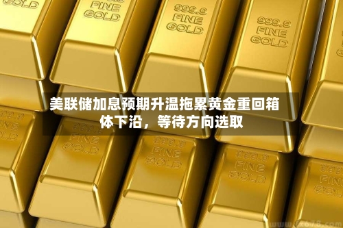 美联储加息预期升温拖累黄金重回箱体下沿，等待方向选取-第3张图片