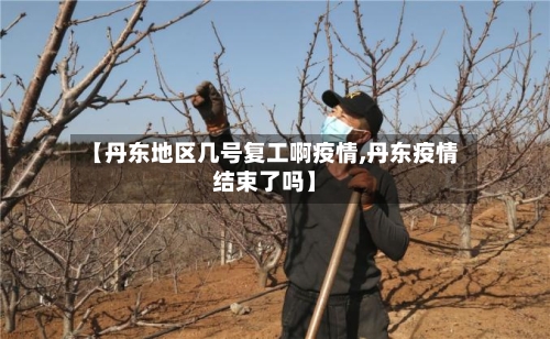 【丹东地区几号复工啊疫情,丹东疫情结束了吗】